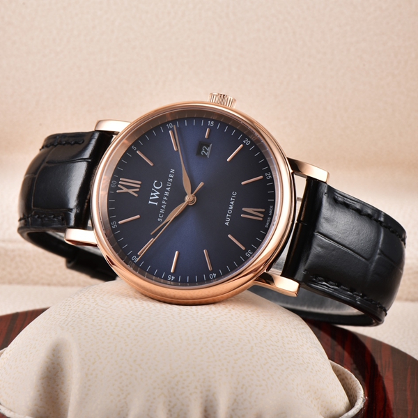 アイ・ダブリュー・シー背面デザイン